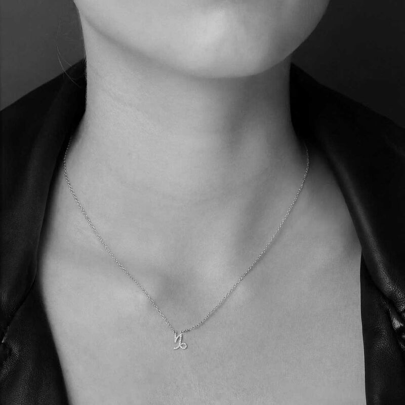 Silk & Steel Capricorn Necklace image number 1